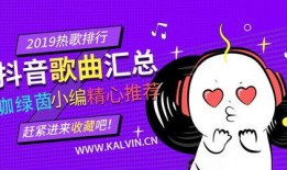 抖音爆料歌曲大全最新版,最新版爆料大全揭晓